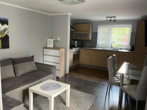 Kuchyňa alebo kuchynka v ubytovaní Apartament Lazur