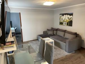 Televízia a/alebo spoločenská miestnosť v ubytovaní Apartament Lazur