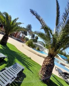 twee palmbomen naast een zwembad bij Ô Coeur d'Eden ,2 mobilhomes l'Ôriginal et le BÔ'Aime in Piriac-sur-Mer