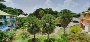 Giardino di Appartement T2 lumineux, confortable et spacieux à Saint-Anne proche piscine et plage de l'Anse Caritan