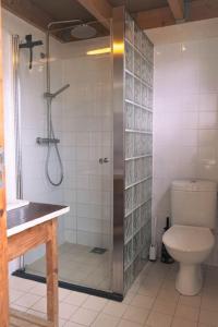 a bathroom with a shower and a toilet at Vakantiewoning MV8 in Egmond-Binnen +39 photos