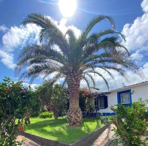 Κήπος έξω από το Vila Pilar Mar - Rural Apartment in the Countryside of São Miguel