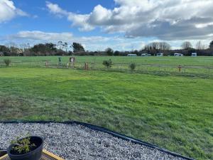 a field of grass with a potted plant in the foreground at Lavender in Brixham
