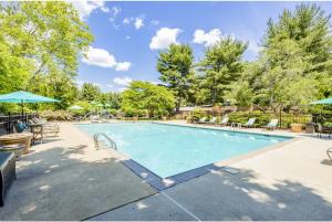 Πισίνα στο ή κοντά στο Pine Brook 104 I Pool Gym I Free Parking !