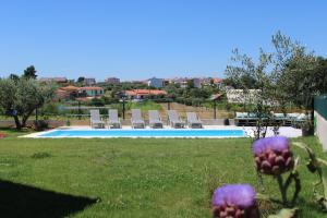 a view of a swimming pool in a yard with purple flowers at As Tílias Homely 46 in Carvalhal
