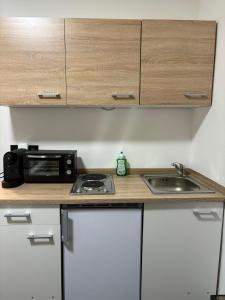 Una cocina o cocineta en The Alps Appart Top 4