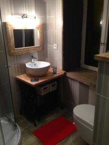 a bathroom with a sink and a toilet and a mirror at Villa Boston in La Bourboule