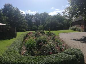 a garden with bushes and flowers in a yard at Hof Koopmann in Dahlem