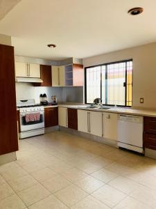 瓦哈卡市Alojamiento CARLO Y ABRIL的配有白色橱柜和水槽的大厨房