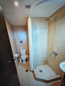 Koupelna v ubytování Apartment Mixail 1