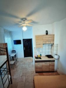 Kuchyň nebo kuchyňský kout v ubytování Apartment Mixail 1