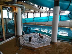 Ski-in, central and cosy in the Chalet Diana, free access to swimming pool内部或周边的泳池