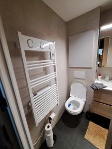 a small bathroom with a toilet and a sink at Chalet tout confort in Virton +21 photos