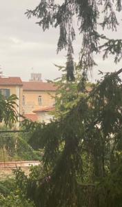Giardino di Windrose Risorgimento Suite