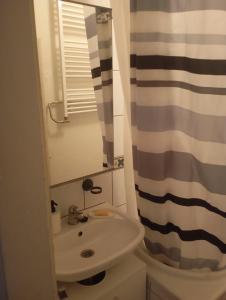 Vannituba majutusasutuses Chambre 1 Bienne