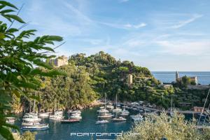 a bunch of boats are docked in a harbor at Martino by PortofinoVip in Portofino