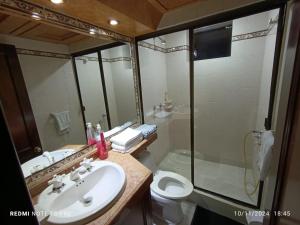 a bathroom with a sink and a toilet and a shower at HABITACIÓN PRIVADA ALAMEDA CLUB HOUSE 134 Usaquén in Bogotá +17 photos