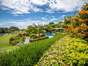 a view of a garden with a swimming pool at Te Awa Lodge in Paihia