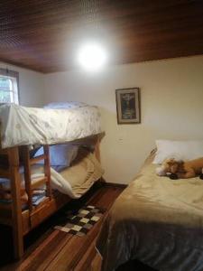 a bedroom with a bunk bed with a dog laying on it at La pradera in Subachoque