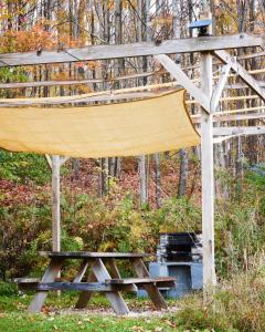 a wooden bench and a picnic table in the grass at Cozy Cottage with Jacuzzi and Fire Pit and Reading Nook! in Livingston Manor