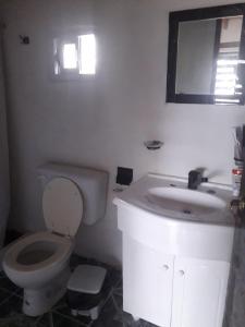 a white bathroom with a toilet and a sink at Dpto los rosales in Los Antiguos