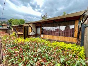 莱瓦镇Glamping en villa的前面有大量植物的房子