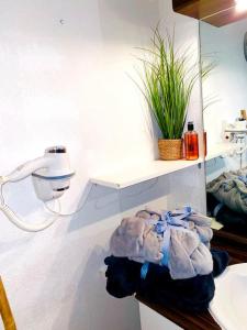 Fotografie z fotogalerie ubytování carré de détente JACUZZI JARDIN PISCINE T3 PARKING v destinaci Castelnau-dʼEstrétefonds