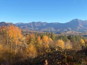 Gallery image of Hotel Tihiat Kat in Apriltsi