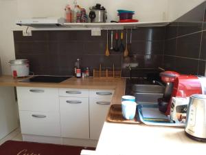 a kitchen with a sink and a counter top at charmante maison in Les Avirons