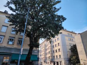 The building in which Az apartmant is located