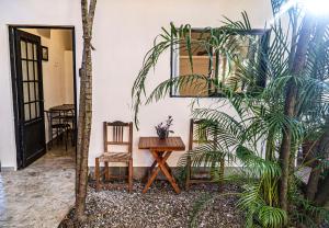 a room with a table and a chair and a plant at Akali House in San Francisco