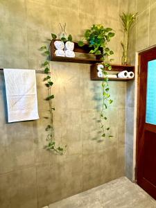 a wall with a shelf with plants on it at The Green Heaven Villa in Ambalangoda +41 photos