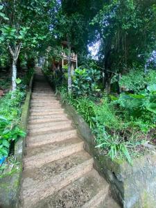 a set of stairs in a garden with trees at Bayview Apartment with Balcony in El Nido