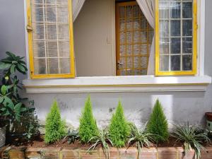 Zahrada ubytování Ở Mô Dalat