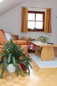 Gallery image of Ferienwohnung Seiringer in Attersee am Attersee