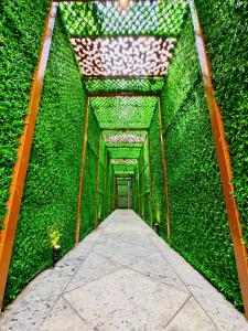 Zahrada ubytování Hajiyar Residency + 37 fotografií