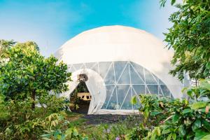 Zahrada ubytování Panorama Glamping