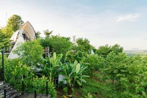Zahrada ubytování Panorama Glamping