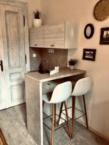 Fotografie z fotogalerie ubytování Tomas Apartments Silver v destinaci Karlovy Vary
