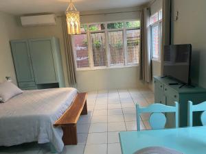 a bedroom with a bed and a tv and windows at Budgie's 2 Studio in Cozumel