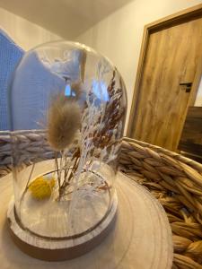 Fotografie z fotogalerie ubytování Apartmán Vráž u Písku v Písku