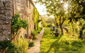 an alley of an old stone building with plants at Casa do Comediante in Cerdeira