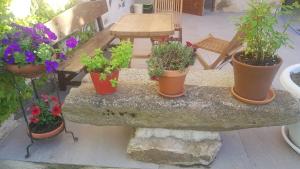 Ogród w obiekcie Casa Rural Rincón