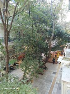 an overhead view of a large tree in a courtyard at AS luxury apartment in Athens