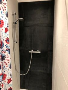 a shower in a bathroom with a black wall at Maison de centre-ville au calme avec jardin et parkings in Caen