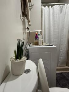 a bathroom with a toilet and a potted plant on top of it at JK Suites Cheer B126 in Marilao