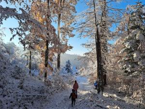 Το Traumwohnung mit eigenem Garten τον χειμώνα +50 φωτογραφίες