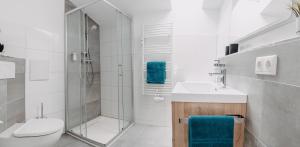 a bathroom with a shower toilet and a sink at Kleeoase - Infrarotsauna - Terrasse - Garten - kostenloser Parkplatz - BRIGHT Collection in Weinbach