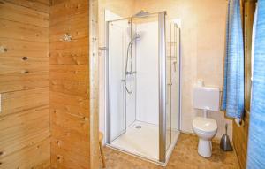 a shower stall in a bathroom with a toilet at Ferienhaus Tauber 60 in Hayingen +7 photos