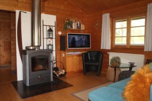 ein Wohnzimmer mit Kaminofen und Fernseher in der Unterkunft Ferienhaus Tauber 84 in Hayingen